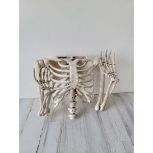 Skeleton rib cage arms Halloween scary pop decor bones plastic unique scary